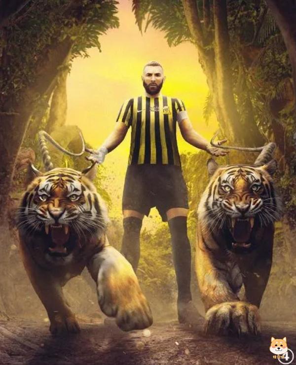 本泽马要退役了!