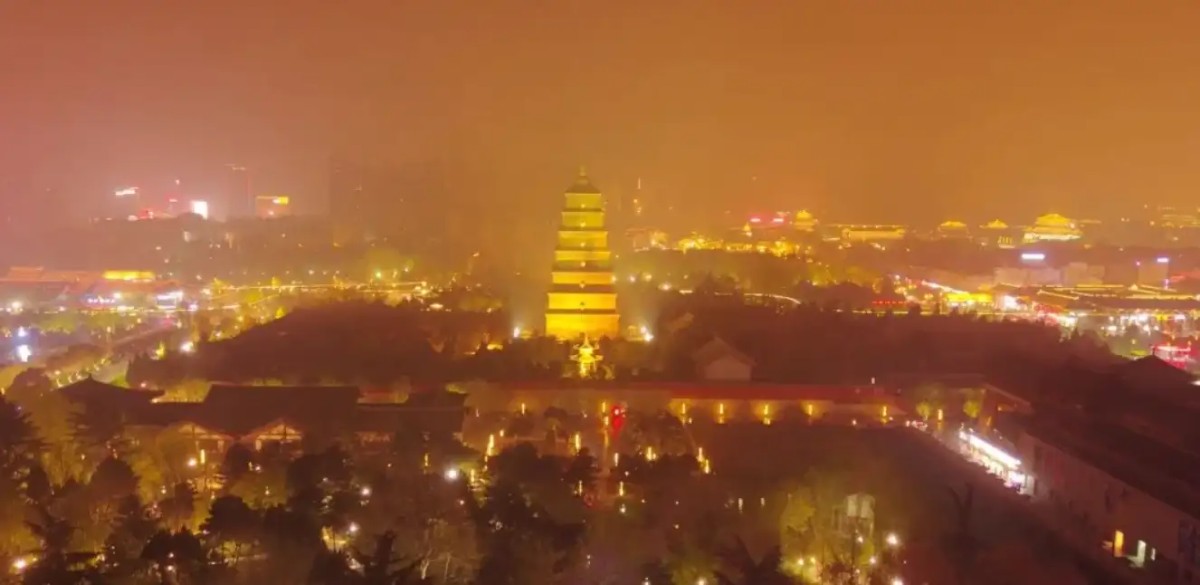 一个赌狗的内心独白